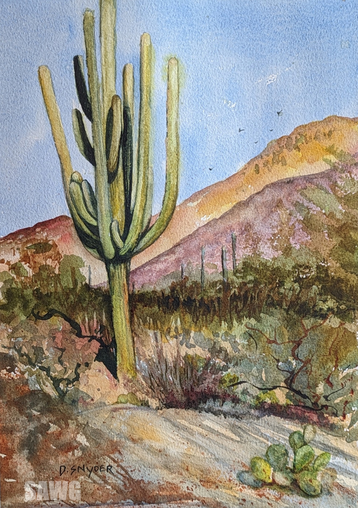 Southern AZ Watercolor Guild