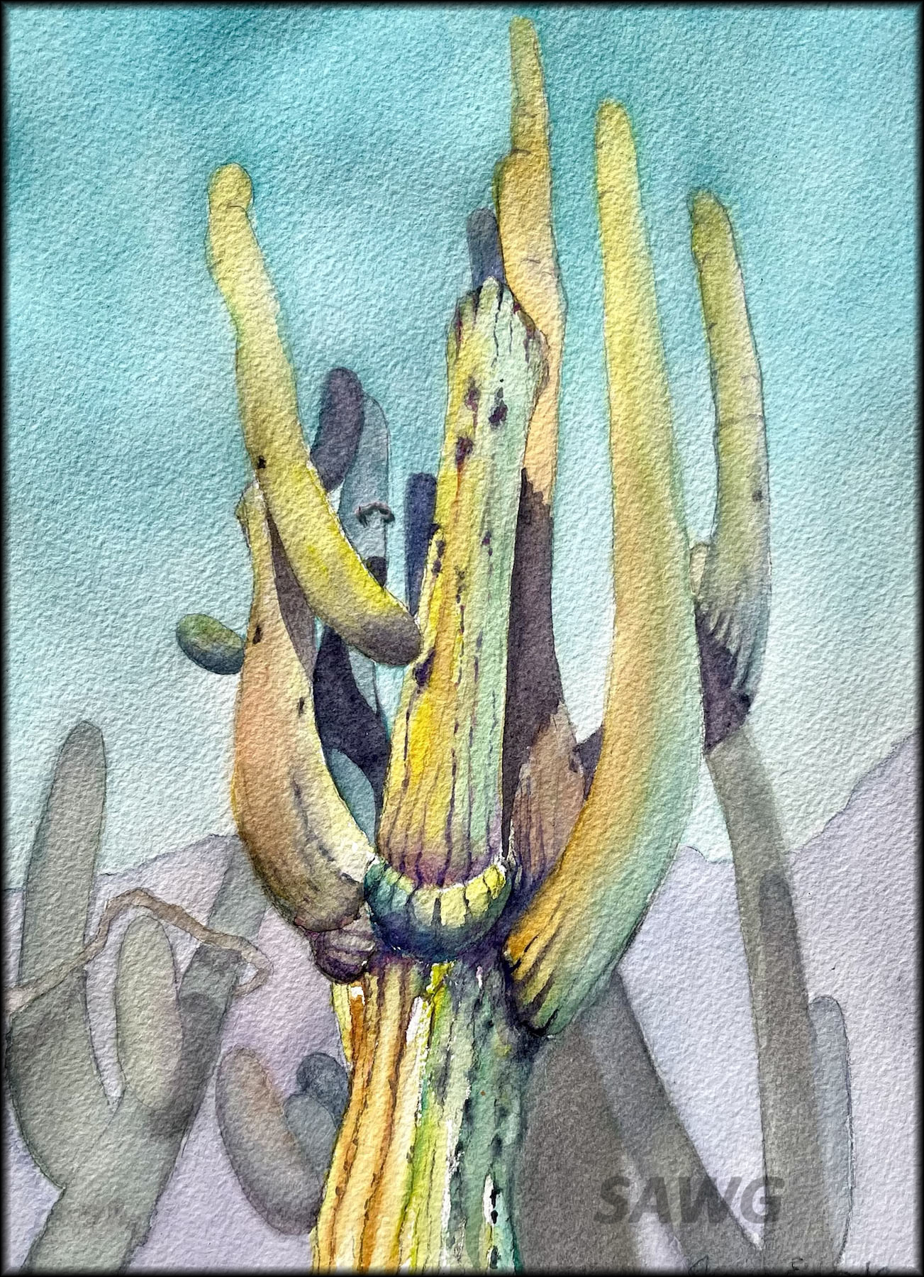 Southern AZ Watercolor Guild
