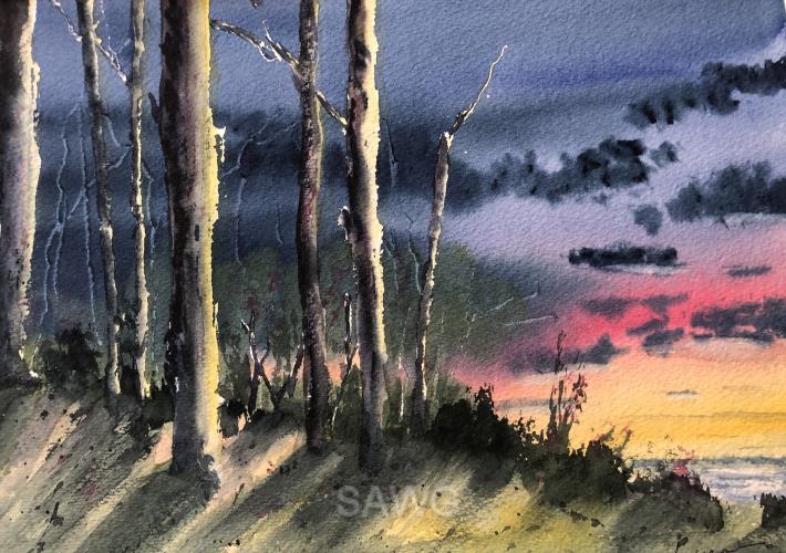 Last Light by Loisanne Keller