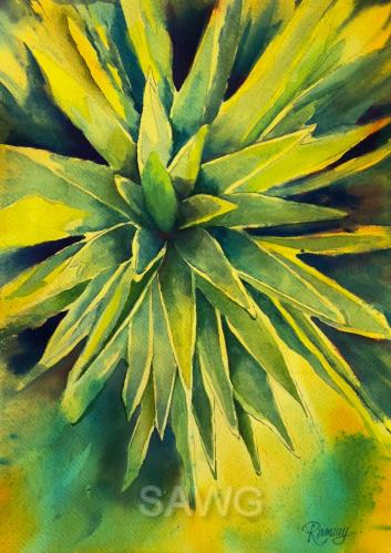 Spanish Dagger by Jeanne Ramsay