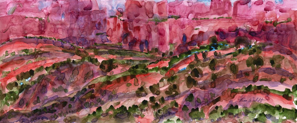 Vermillion Cliffs Arizona by Risa Waldt