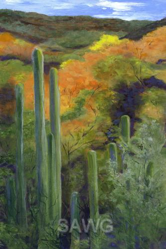 Autumn in Sabino Canyon by Diana McBroom