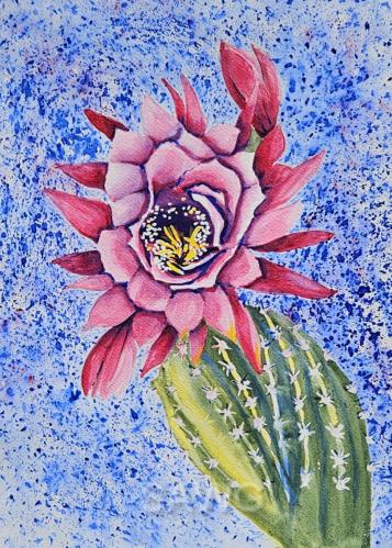 Cactus Energy by Mary Wolf