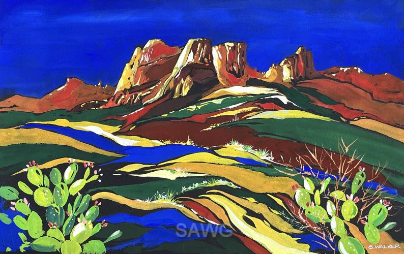 Vivid Southwest by Sandy Walker