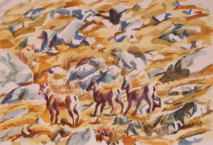 Big Horn sheep by Gerd von Glinski