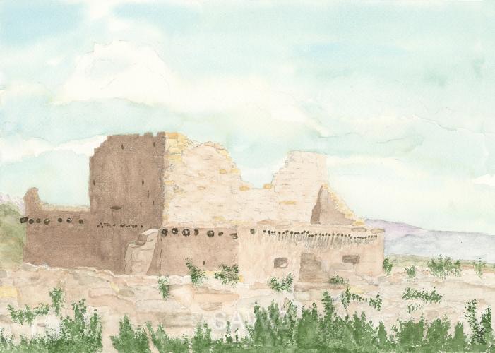 Puye Mesa Ruin by Dick Butler