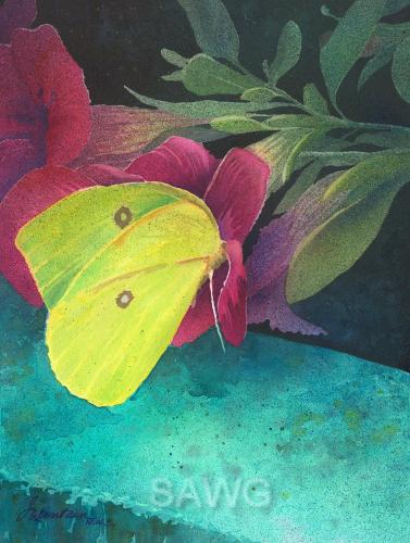 A Sulphur on Petunias by Ellen Fountain