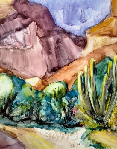 Nacapule Canyon, San Carlos, Mexico by Barbara Strelke