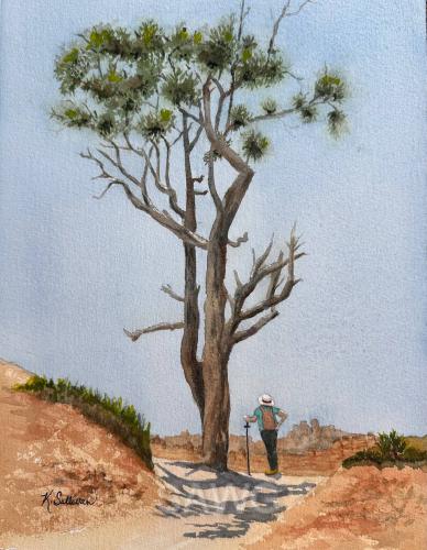 Taking a Break in Bryce by Kay Sullivan