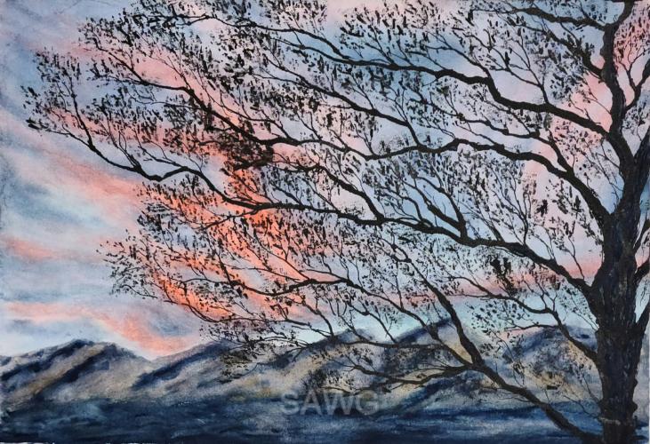 Mesquite Sunset by Sandra Parker