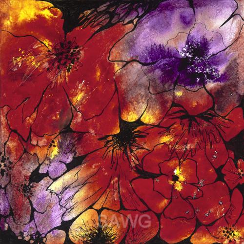 Ablaze by Paula Weech