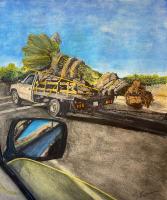 Arizona Highway by Cindy Engquist
