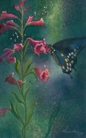 Parry's Penstemon & Black Swallowtail by Ellen Fountain