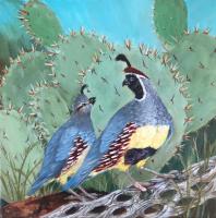 Quail Pair on Cholla by Summer Celeste