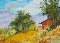 On the Edge of the Catalinas by Judy Constantine