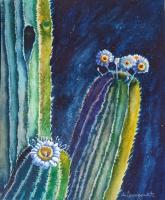 Late Bloomer by Karen Brungardt