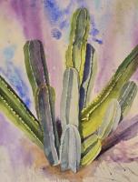 Fiesta Cactus by Denice Smith