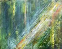 The Light in the Forest by Susan Anderson