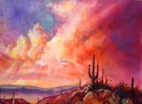 Saguaro Monsoon Sunset by Victoria Wills