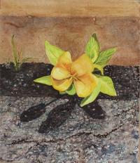 Little Flower by Anne Leonard