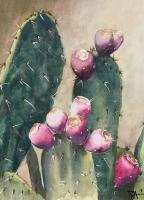 Cactus Apples by Susan Anderson