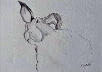 That Silly Rabbit by Kathleen Carmen