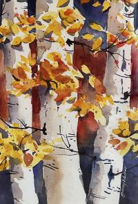 Fall Colors by Sandy Walker