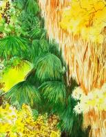 Palms at Agua Calente by Kathleen Carman