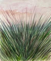 Yucca by Montie Slavin