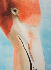 Flamingo by Sherry Matlack