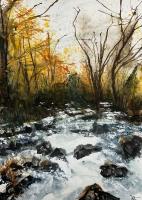 Sabino Creek in Spate by Susan Anderson