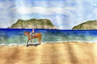 Beach Rider by Christopher Alexander