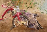 My Trike by Marty Plevel