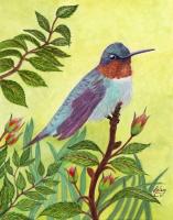 Hummingbird Watch by Helen Baldridge
