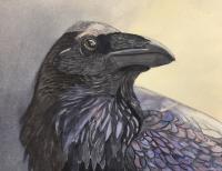 Here is a Raven Evermore by Carolyn Streed