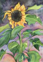 Sunflower Sunrise by Joy Ellsworth