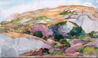 Catalina's Canyon Summer by Risa Waldt