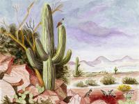 Arizona Dreaming by Helen Baldridge