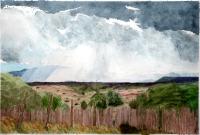 Rain on the Jemez by Dick Butler