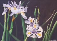 Daylilies 1 by Maureen Henson-Brunke