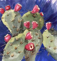 Prickly Pear Fruit by Leslie Oakley