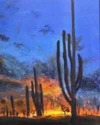 Sunset in the Sonora- a Gift from Nature by Maya Rosenblatt