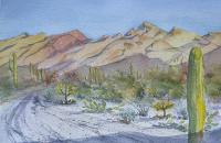 Sabino Canyon Sunrise by Peggy Cobey