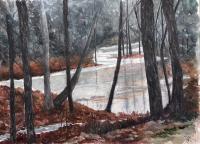 Winter Rains by Susan Anderson