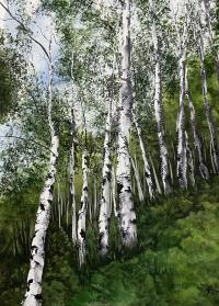Summer Birches by Susan Anderson
