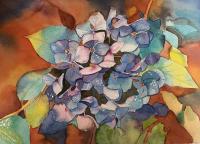 Hydrangea, A Different Perspective by Carolyn Streed