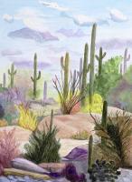 Sonoran Desert by Helen Baldridge